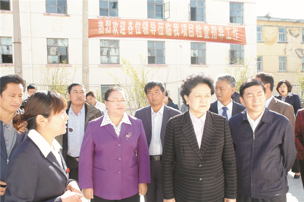 4中央政治局委员，，，，，，，，国务院副总理、党组成员刘延东视察湖北热博RB88集团青海项目部 